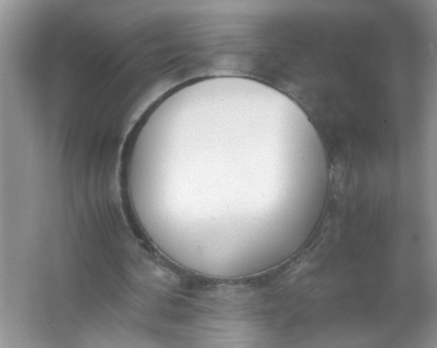 X0000067000292200604072156