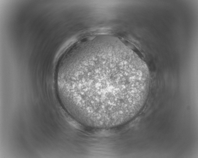 X0000067000293200604072156