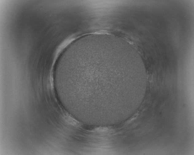 X0000067000294200604072156