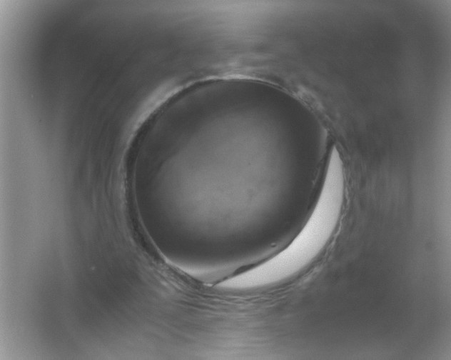 X0000067000295200604072156