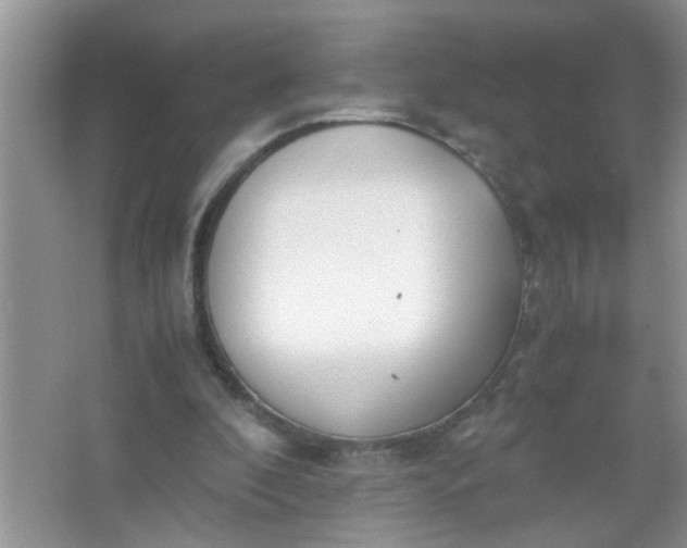 X0000067000296200604072156