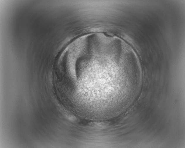 X0000067000297200604072156