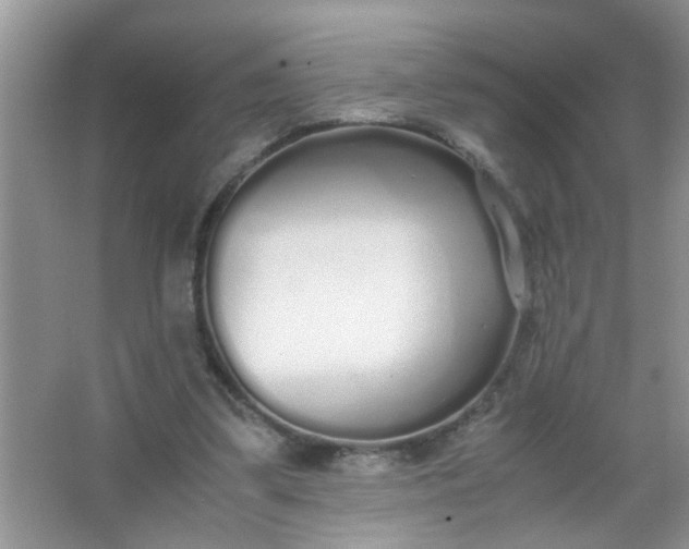 X0000067000299200604072156