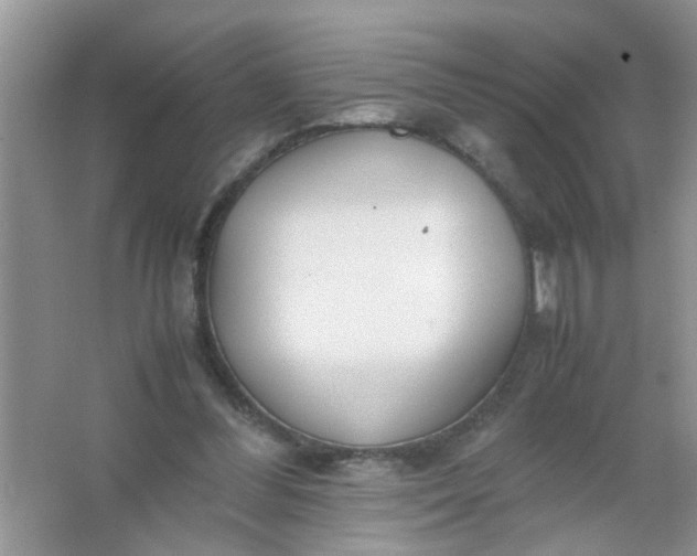 X0000067000300200604072156