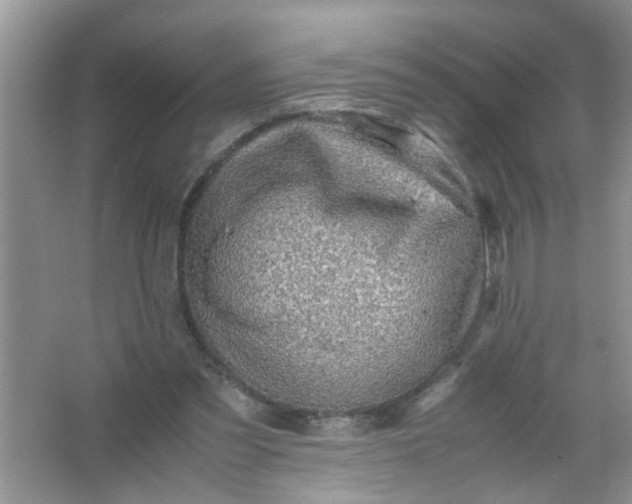 X0000067000301200604072156