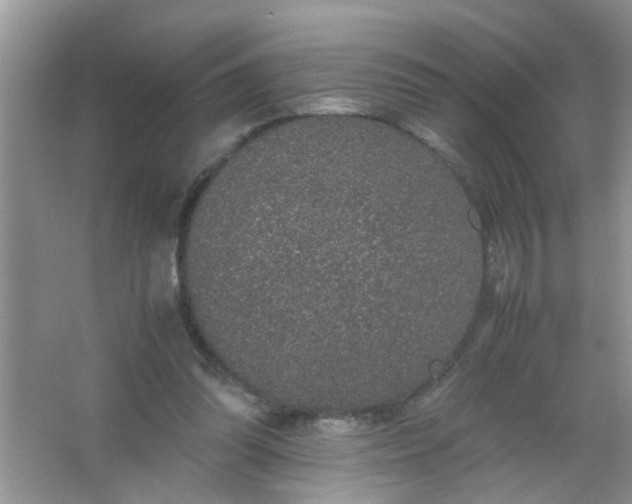 X0000067000302200604072156