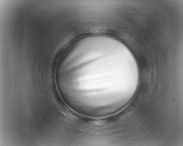 X0000067000303200604072156