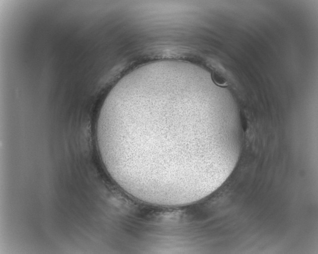 X0000067000306200604072156