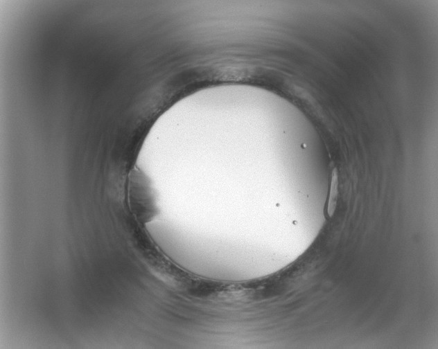 X0000067000307200604072156