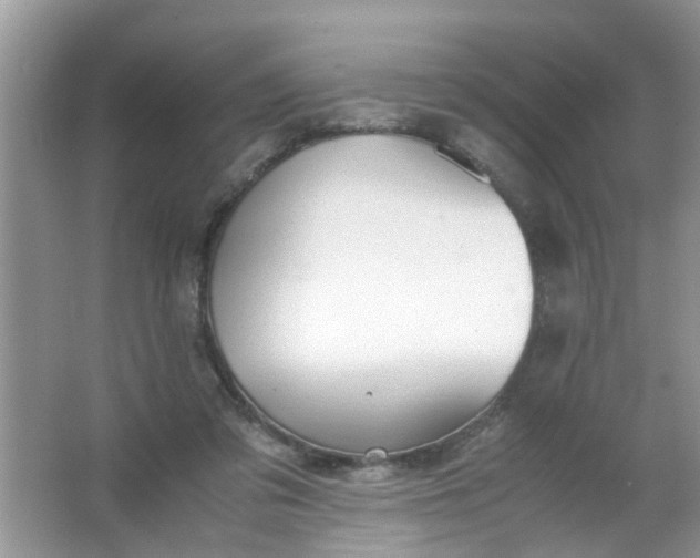 X0000067000309200604072156