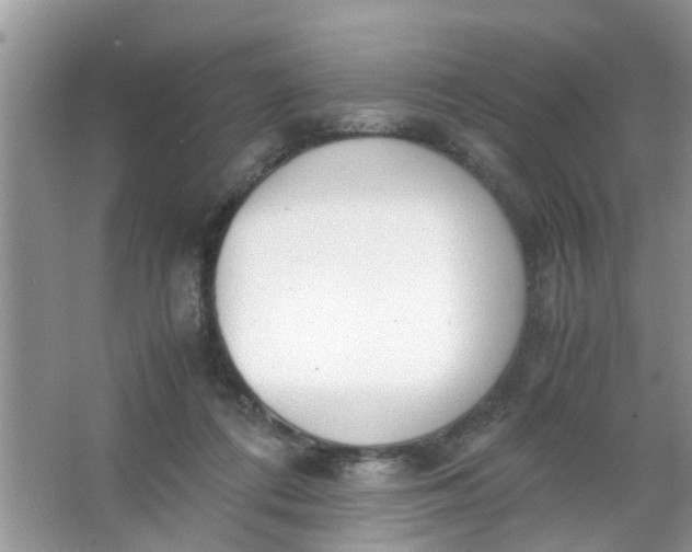 X0000067000312200604072156