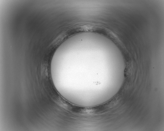 X0000067000313200604072156