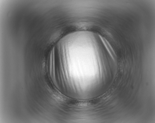 X0000067000314200604072156