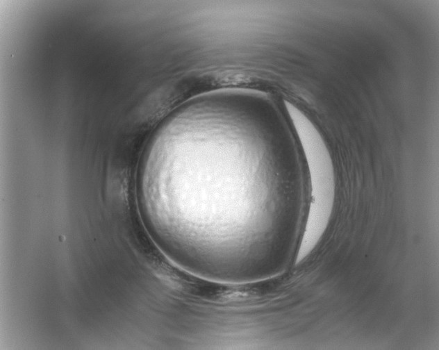 X0000067000315200604072156