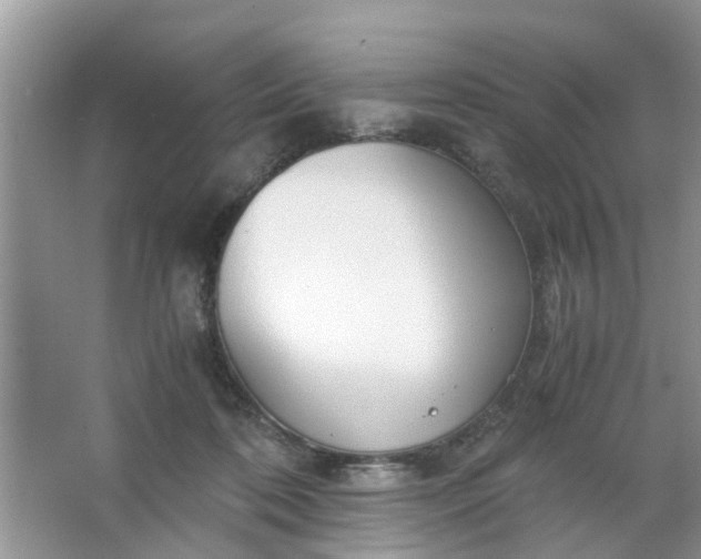 X0000067000316200604072156