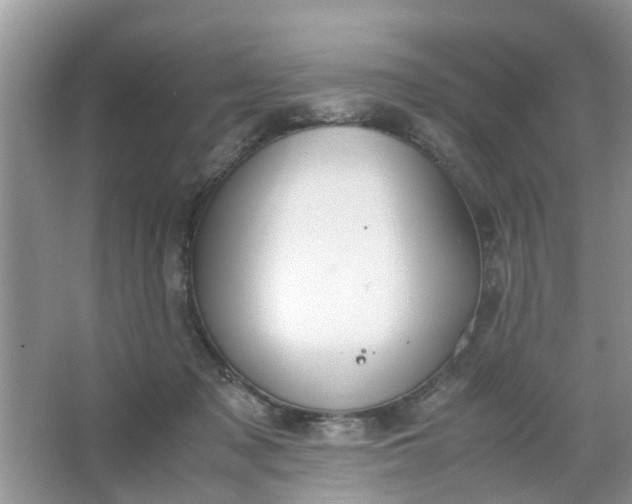 X0000067000317200604072156