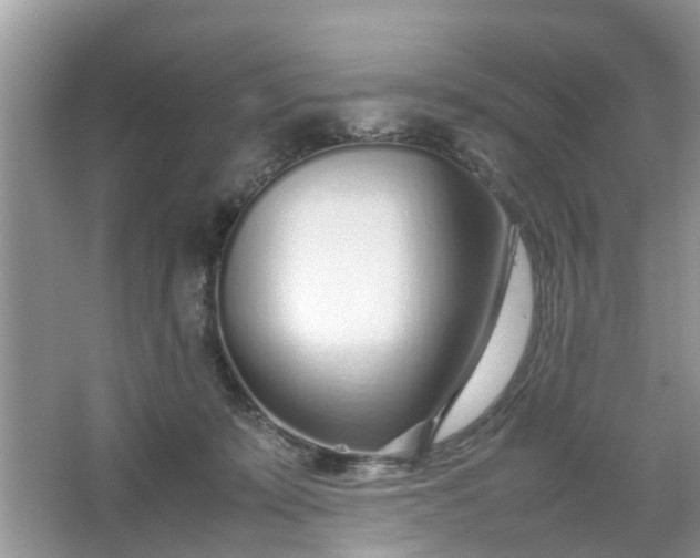 X0000067000319200604072156