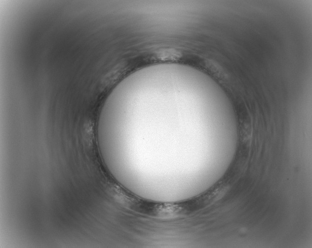 X0000067000321200604072156