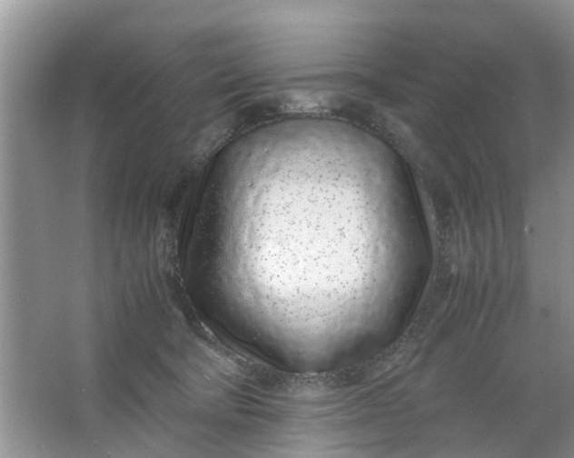 X0000067000322200604072155