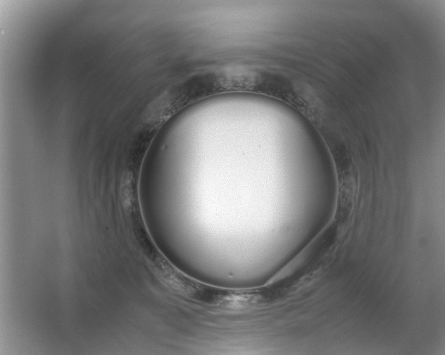 X0000067000323200604072155