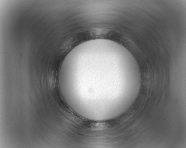 X0000067000324200604072155