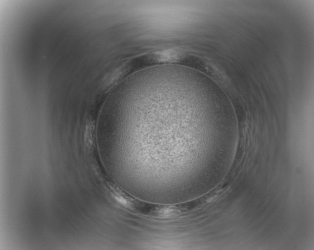 X0000067000325200604072155