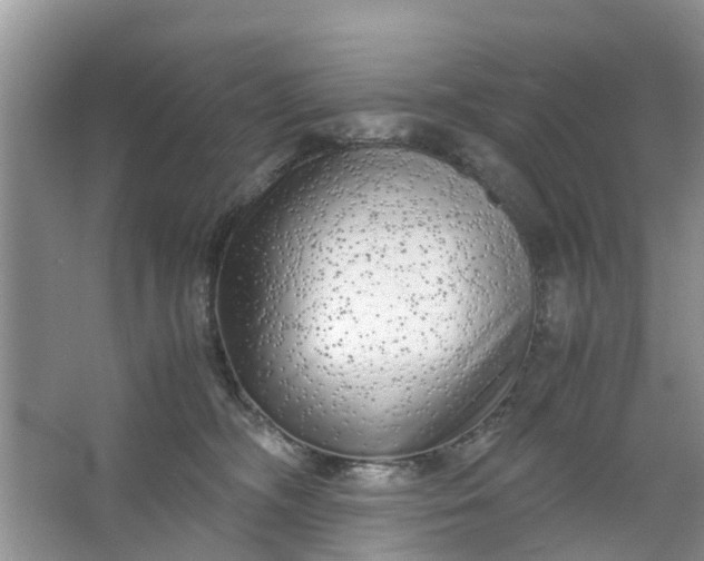 X0000067000326200604072155