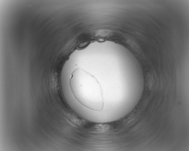 X0000067000328200604072155