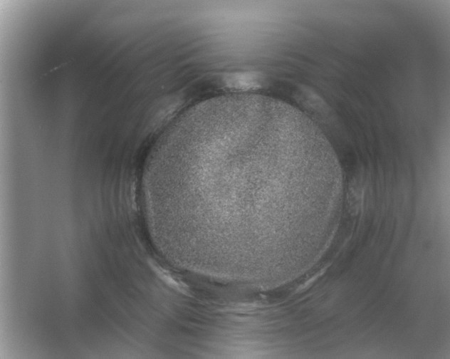 X0000067000330200604072155