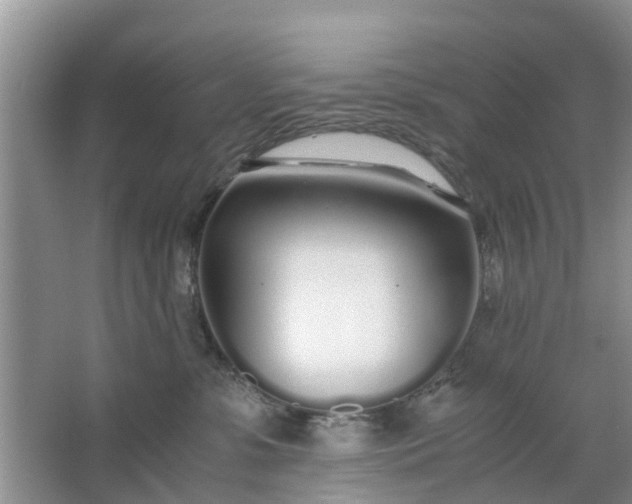 X0000067000331200604072155