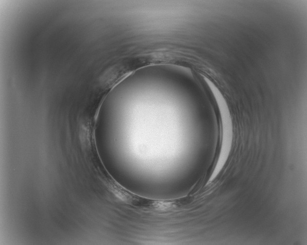 X0000067000333200604072155