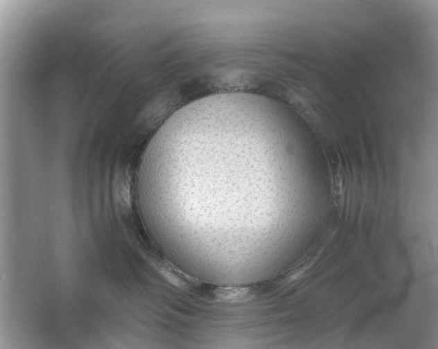 X0000067000334200604072155