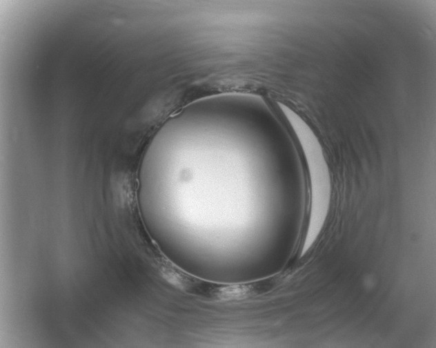 X0000067000335200604072155