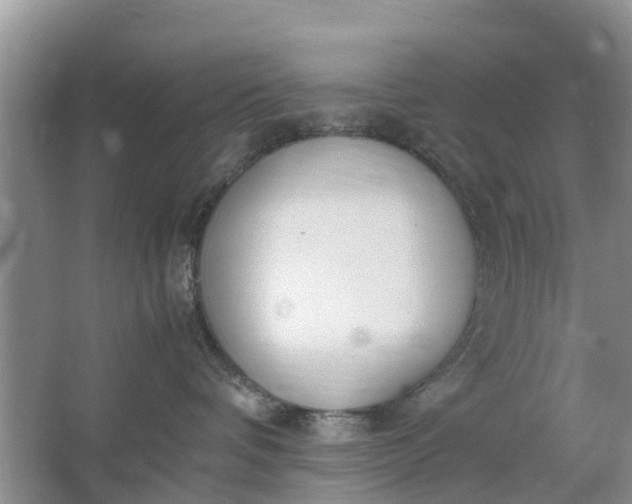 X0000067000336200604072155