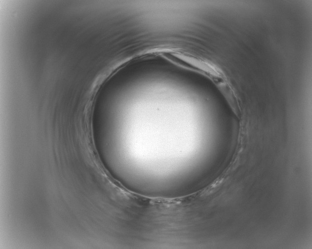 X0000067000337200604072154