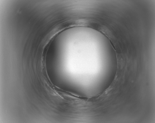 X0000067000338200604072154