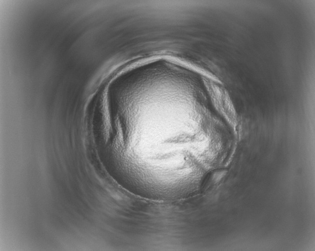 X0000067000339200604072154