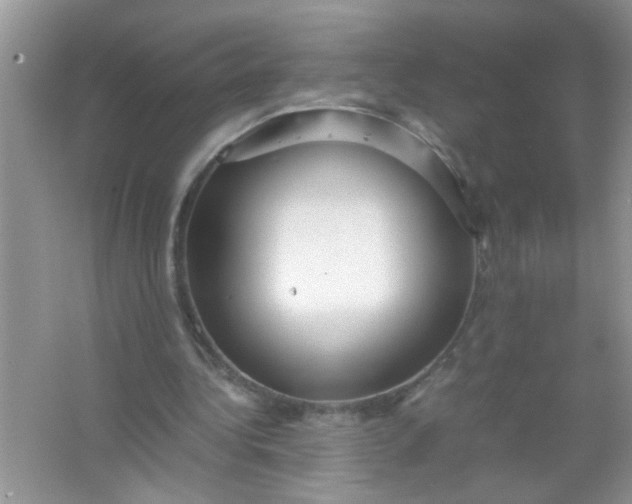 X0000067000340200604072154