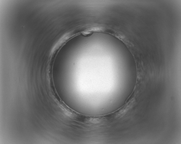 X0000067000341200604072155