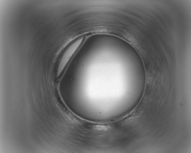 X0000067000347200604072155