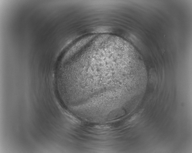 X0000067000351200604072155