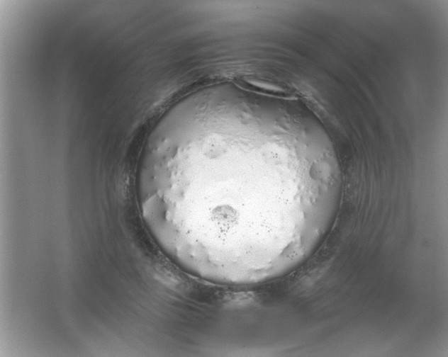 X0000067000355200604072155