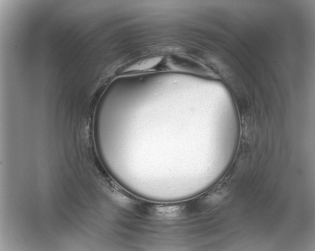 X0000067000357200604072155