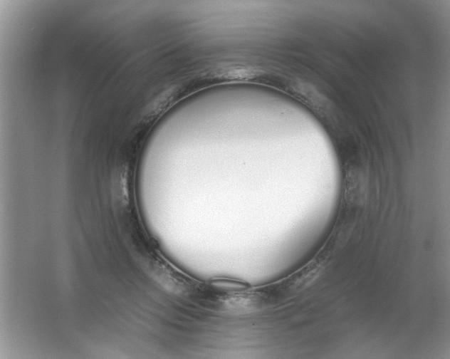 X0000067000358200604072155