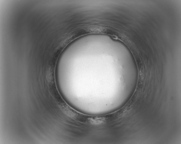 X0000067000359200604072155