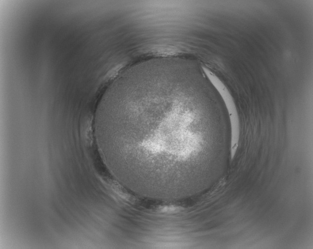 X0000067000360200604072155