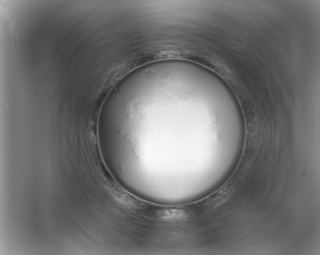 X0000067000361200604072155