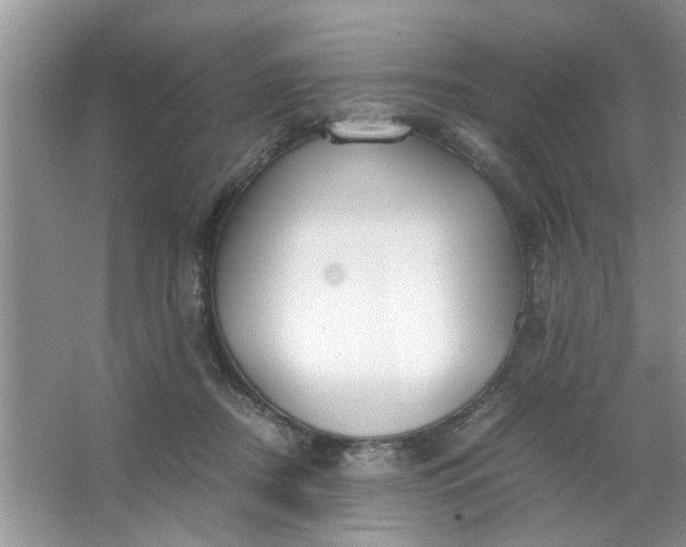 X0000067000362200604072155