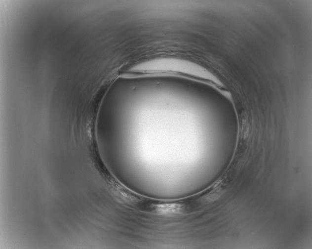 X0000067000363200604072155