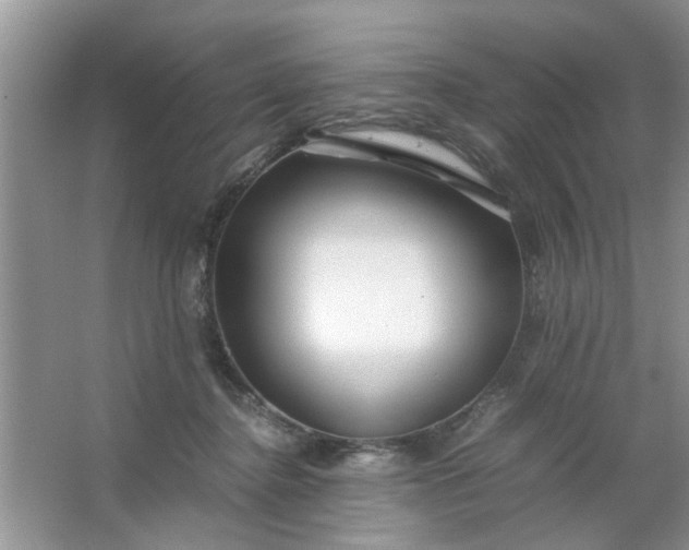 X0000067000364200604072155